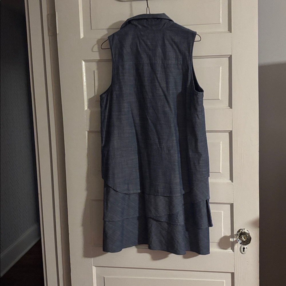 Finley Sleeveless Blue Chambray Button-Up Dress - Picture 4 of 4